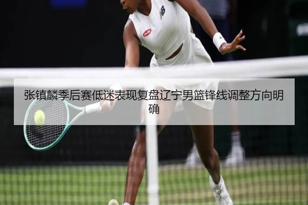 张镇麟季后赛低迷表现复盘辽宁男篮锋线调整方向明确